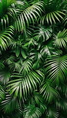 Exotic jungle with lush palm leaves and trees for stunning nature panorama wallpaper