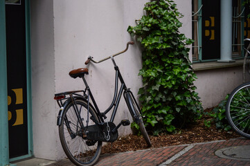 bicycle in the street