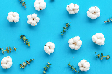 Flowers background with green eucalyptus branches and dry cotton flowers on blue table top view
