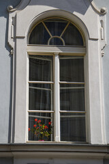 Fototapeta na wymiar Window with a pot