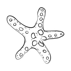 Starfish isolated on white. Modern creative line art graphics.Vector illustration.