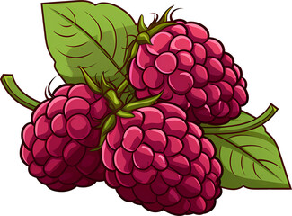 Ripe Raspberry with Leaf Illustration in Vector Design