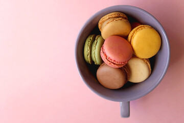 Purple cup filled with pastel macarons on pink background. Top view.
