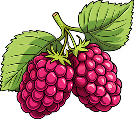Ripe Raspberry with Leaf Illustration in Vector Design