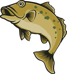 fish isolated on white