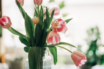 Spring Tulip Crocus Blossom Flower