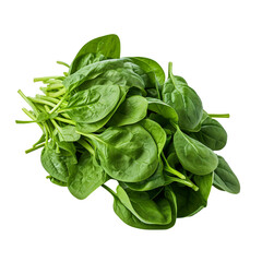 Bundle of fresh spinach isolated on transparent background