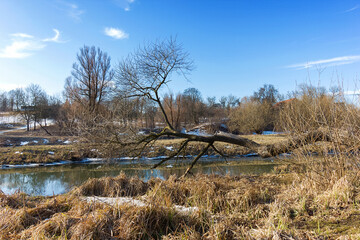 Landscape of very early spring. Trees illuminated by the sun stand on the river bank.