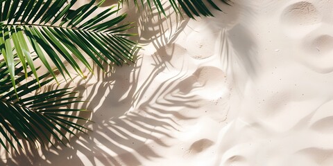Palm tree is on the sand with its leaves casting a shadow. Concept of relaxation and tranquility, as the palm tree and its shadow create a peaceful atmosphere - obrazy, fototapety, plakaty