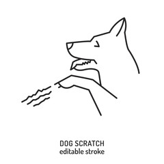 Dog scratch. Common pet behavior symbol. Excessive scratching. - 768929557