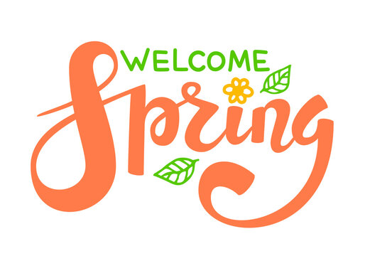 Welcome Spring quote hand drawn calligraphy with brush pen lettering. Png clipart isolated on transparent background