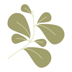 Green Vector Branch with Leaves logo. Flat or Cartoon Foliage, Organic cosmetics Sign. Eco food. Natural element. Agricultural item. Hand Drawn Illustration isolated on White background for Card.