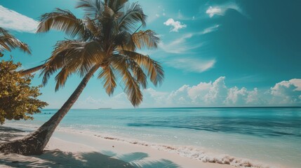 Enchanting sunset scene: mysterious figure crosses deserted tropical beach at dusk, invoking intrigue and suspense
