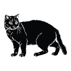 Obraz premium Scottish Fold Silhouette