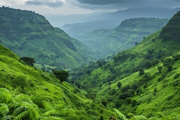 Lush green valley with rolling hills under a cloudy sky, showcasing vibrant natural scenery.