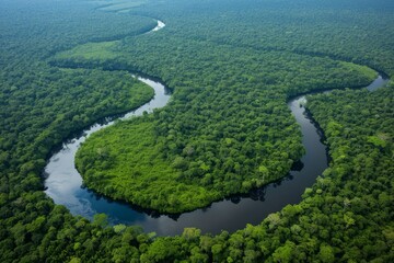 Aerial view of winding river through lush green rainforest canopy.