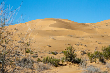 Fototapeta na wymiar Dunes in the Great Desert of Altar, Sonora, Mexico.