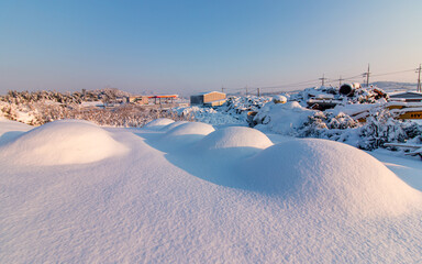 winter landscape with snow covered trees inn South Korea. 