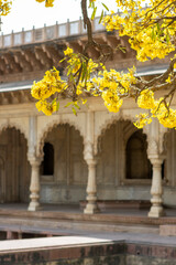 Naklejka premium Exterior of the Suraj Bhawan, Deeg Palace, Deeg, Rajasthan, India, Asia