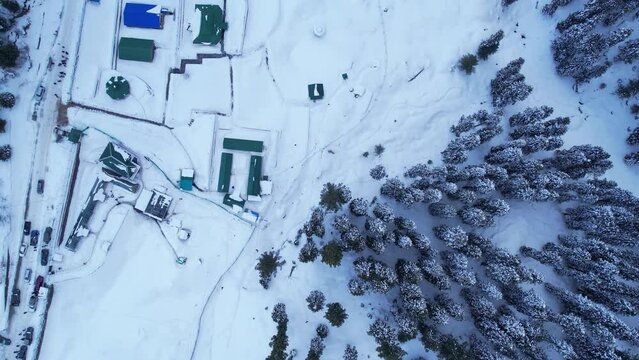 top down aerial view of snow covered pine forest and town in Himalayan Mountains