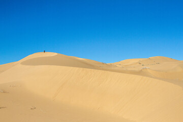 A person climbing a dune in the Desert. Gran Desierto de Altar, Sonora, Mexico. 