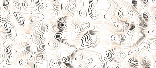 Abstract wave paper curved reliefs background .gradient multicolor wave curve lines banner background design .topographic contours map background .Vector geographic contour map.