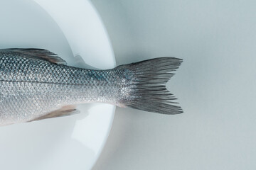 Tail of fresh seabass fish on a white plate. Minimal food concept.