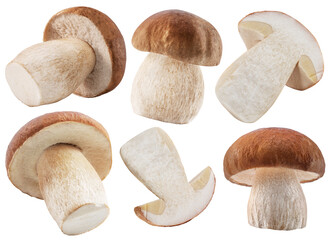 Collection of porcini mushrooms on white background. File contains clipping paths.