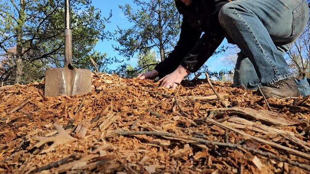 Close up shot of pile of mulch while grabbing handful of oak wood chips checking or inspecting material to be placed under trees and shrubs later.