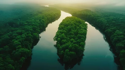 Fotobehang A tranquil river meanders through dense, vibrant green forest under the soft glow of the morning sun. © Orawan