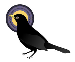 Black raven (crow) with a yellow and violet nimbus on a white background
