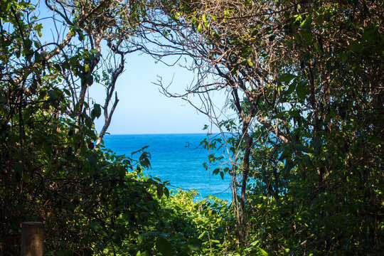 view of the sea, from the Tayrona park, Colombia from the mountain. natural frame, wallpaper, parque tayrona,
