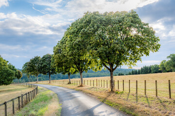 road in the countryside