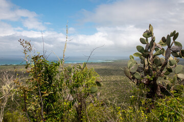 Vista de isla Isabella desde Cerro de la Bahía, Galápagos, Ecuador