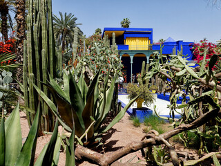 Majorelle Garden, Marrakech, Morocco.