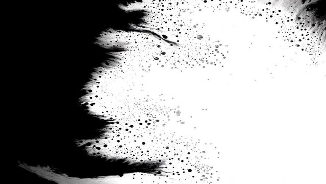 Black ink rorschach effect abstract background artistic flow splatter spots spills white paper beautiful reveal dripping streaks spread fluid ink alpha matte isolated watercolor ink drops transition	
