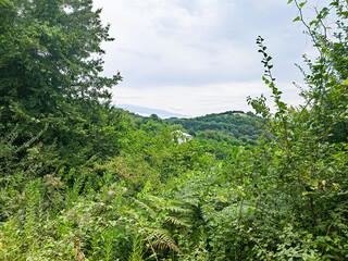 Landscape view of the nature of the mountainous Caucasus