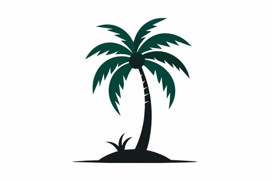 palm tree isolated on white background 