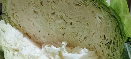 Closeup photo of the inside of a large green crispy Cabbage head that has been cut open in half...