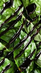 A close-up view of a vibrant green salad with balsamic dressing drizzled elegantly on top