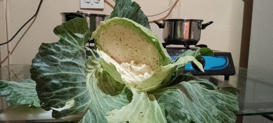 Closeup photo of the inside of a large green crispy Cabbage head that has been cut open in half with huge leaves draping on the sides and a blue two plate stove with pots in the background