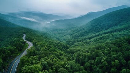 Misty Mountain Roadway