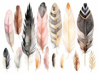 Collection of various colored feathers laid out neatly on a white surface, showcasing a vibrant array of textures and hues