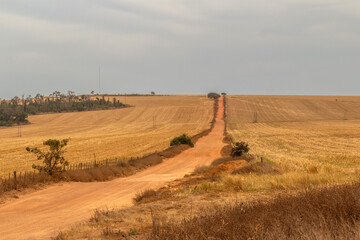 Uma estrada de terra em uma paisagem campestre em tempo de seca no cerrado goiano.