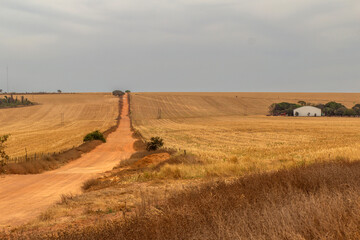 Fototapeta premium Uma estrada de terra em uma paisagem campestre em tempo de seca no cerrado goiano.