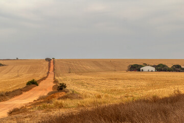 Uma estrada de terra em uma paisagem campestre em tempo de seca no cerrado goiano.