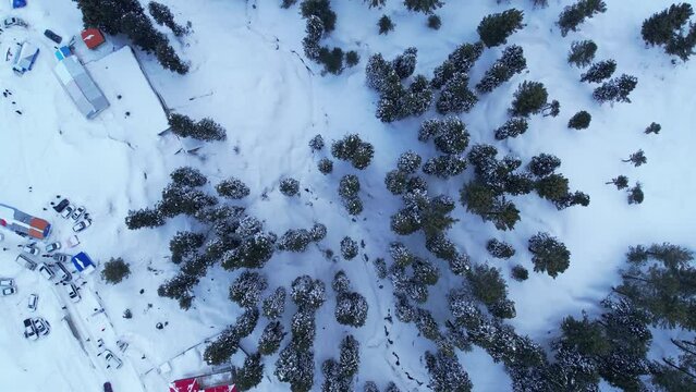top down aerial view of snow covered pine forest and town in Himalayan Mountains