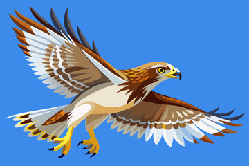 Large Ferruginous Hawk in flight with blue sky background