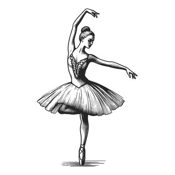 ballet dancer graceful ballerina in tutu, posed pointe in elegant engraving stylesketch engraving generative ai fictional character vector illustration. Scratch board imitation. Black and white image.