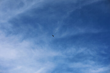 Summer blue sky cloud gradient light white background. Beauty clear cloudy in sunshine calm bright winter air bacground. Gloomy vivid cyan landscape in environment day horizon skyline view spring wind